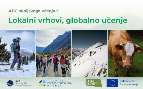 Letak Lokalni vrhovi, globalno učenje
